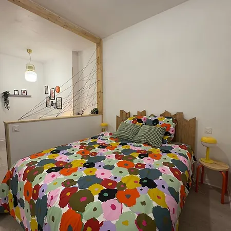 Appartement Dans Le Coeur De Pau Extérieur photo
