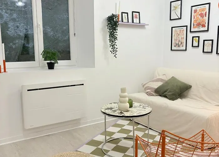 Appartement Dans Le Coeur De Pau