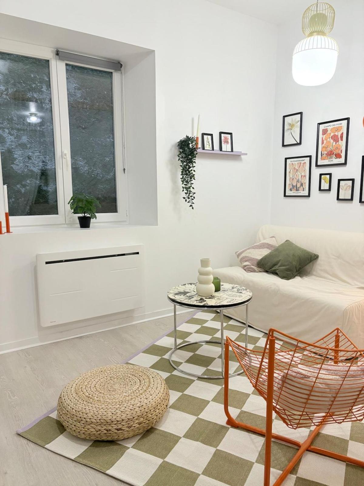 Dans Le Coeur De Appartement Pau